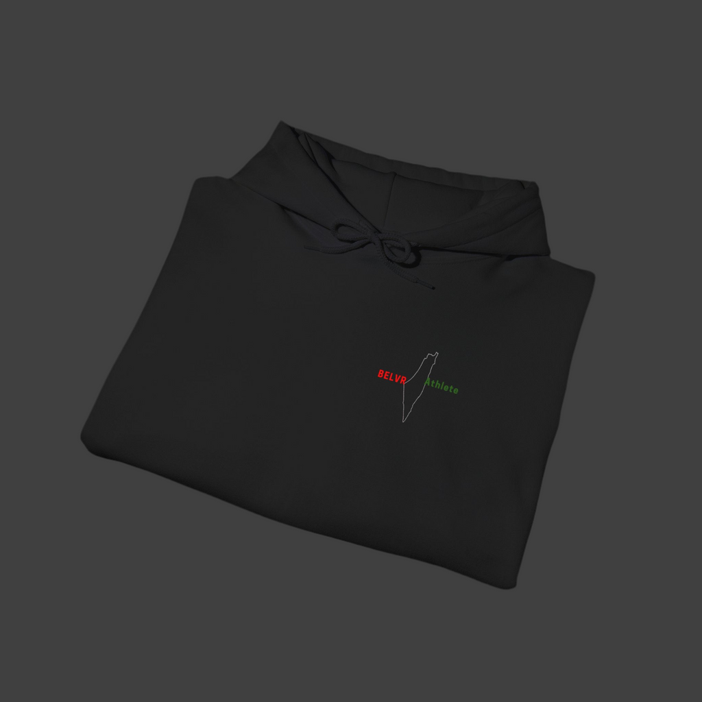 Palestine Hoodie