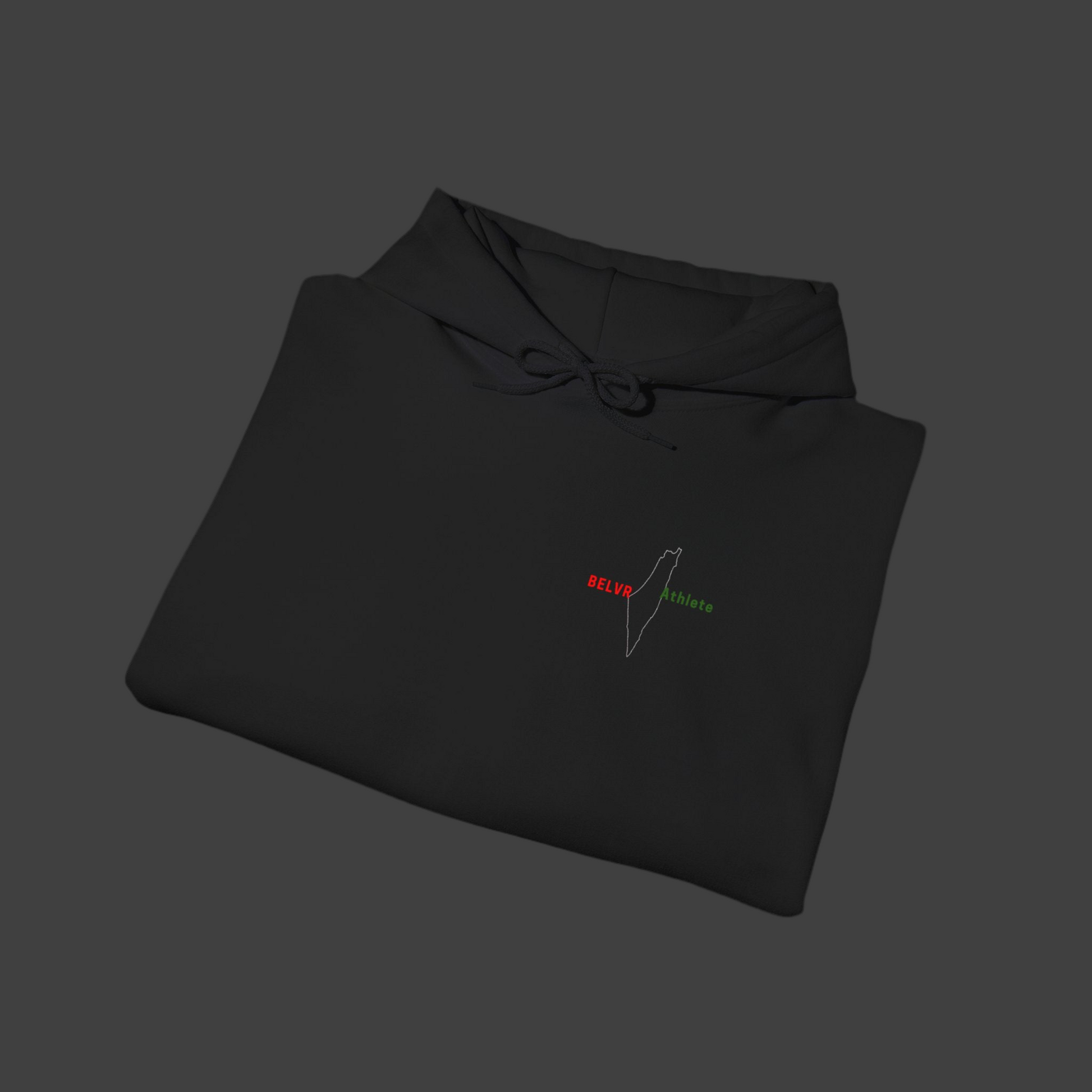 Palestine Hoodie